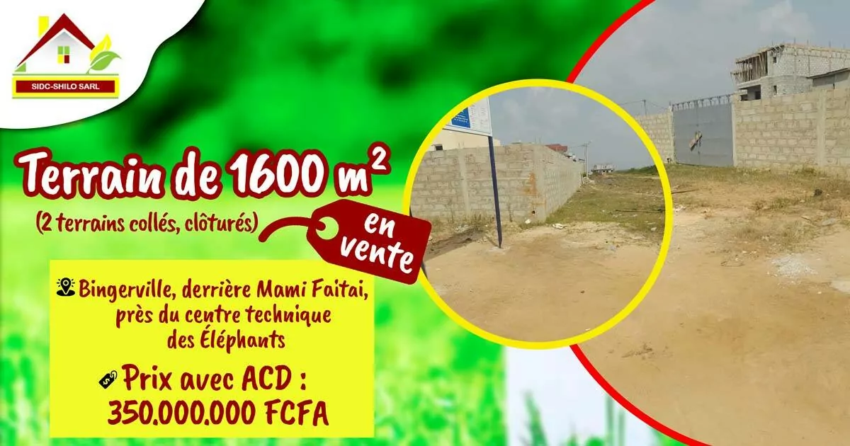 Annonce SIDC-SHILO : terrain de 1600 m², deux parcelles collées et clôturées à Bingerville